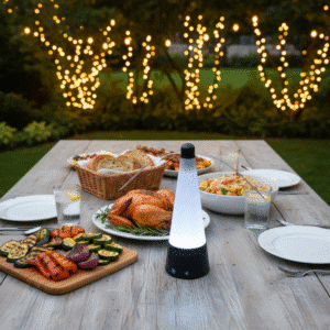 Rechargeable fly repellent fan placed on a dining table keeping flies away